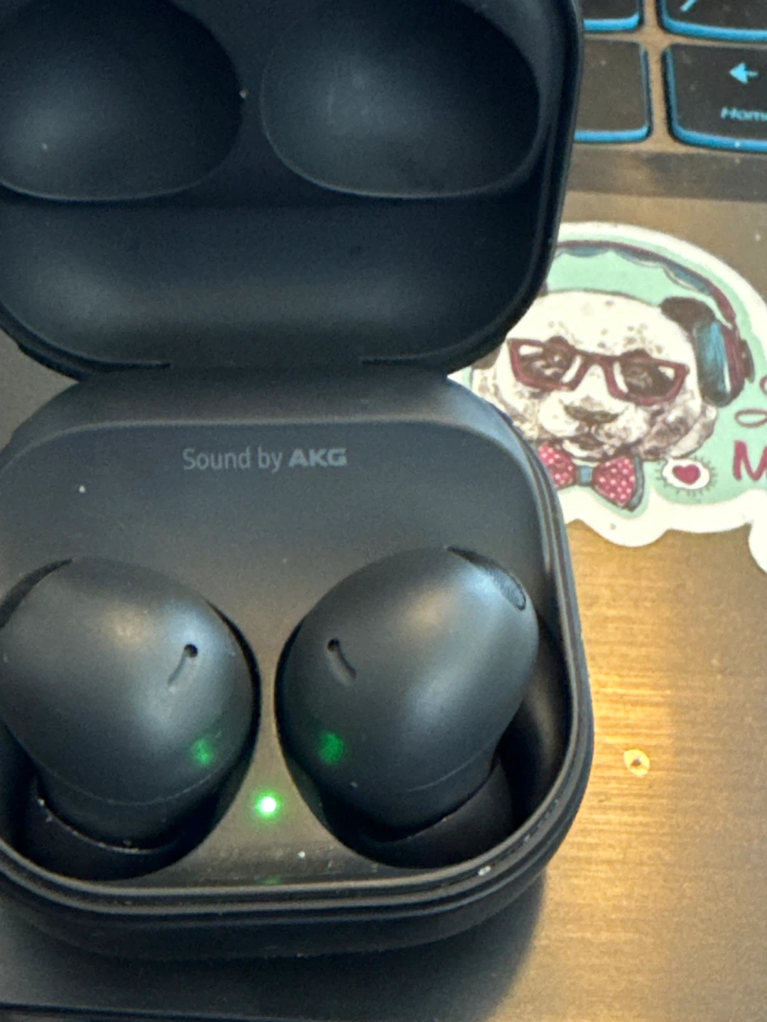 Samsung Galaxy Buds 2 Pro - Graphite - photo 2