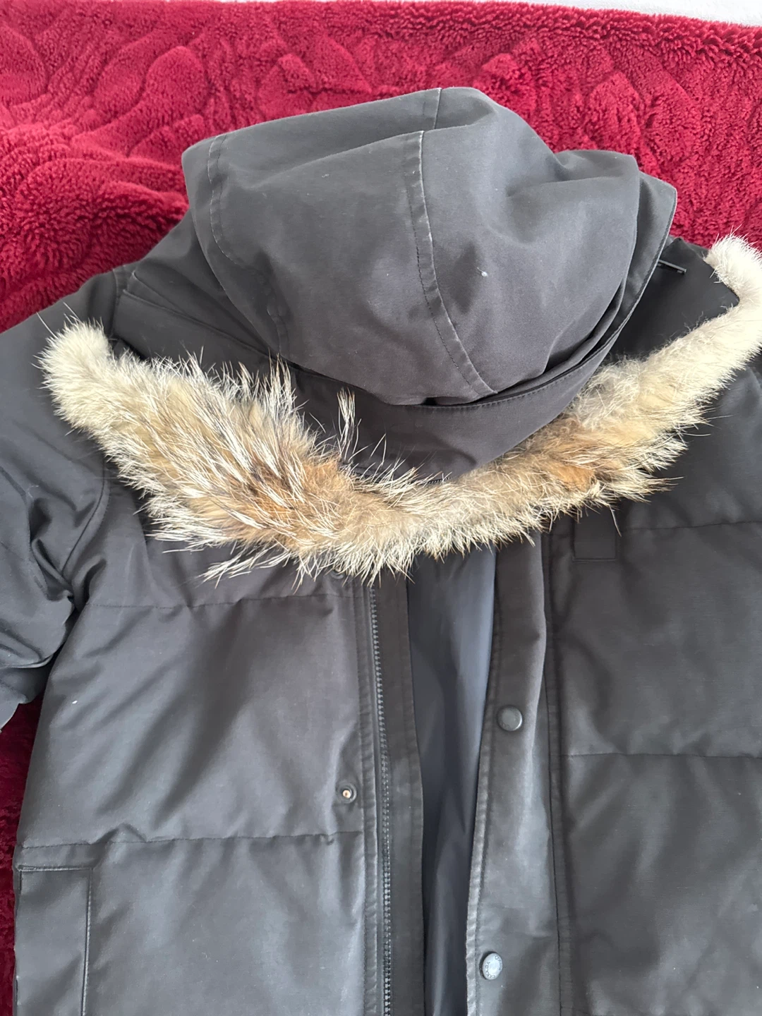 Canada Goose Down Parka - Black - Size L (14-16) - photo 2