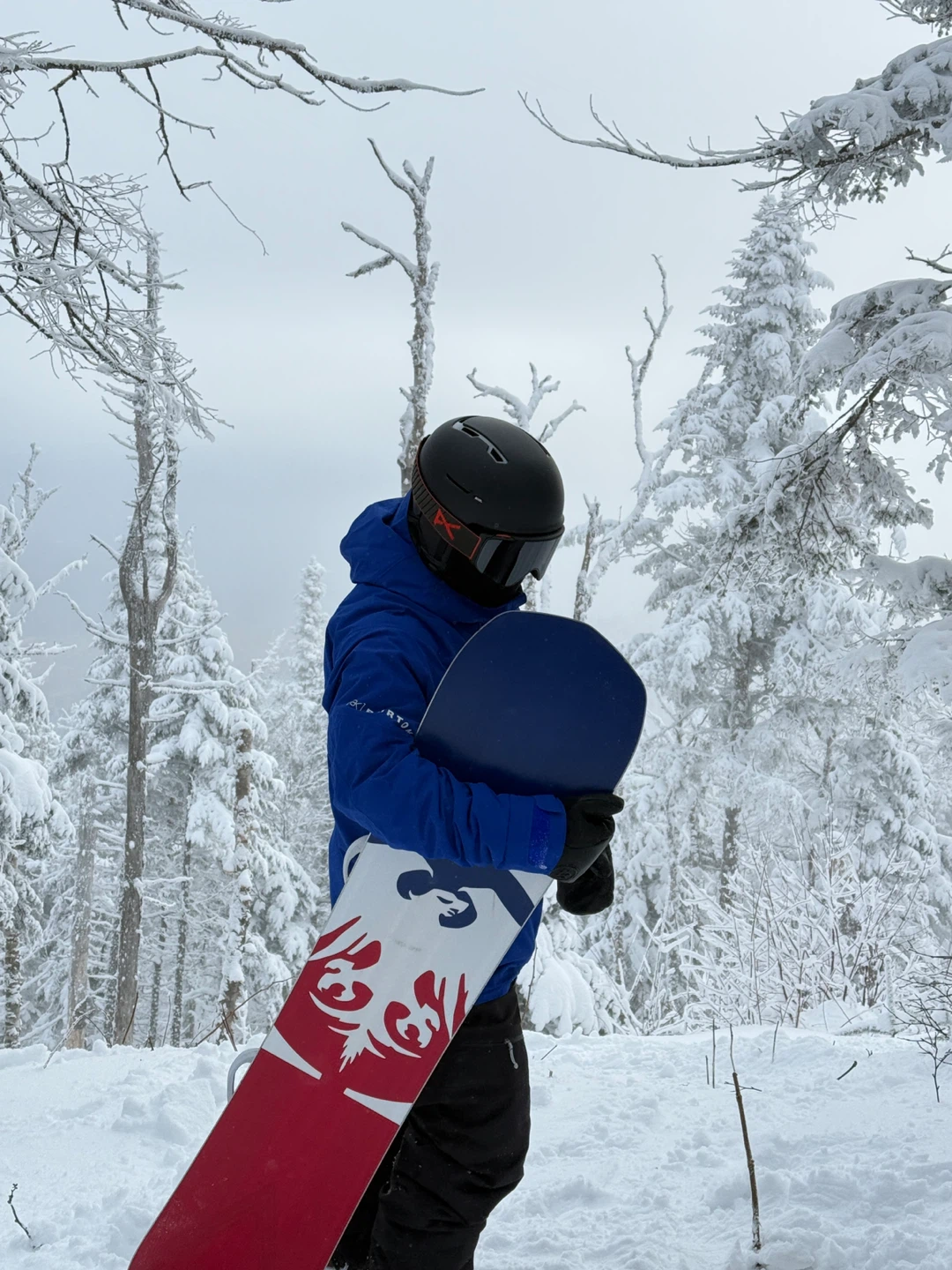 Neversummer Snowboard 153cm - photo 3