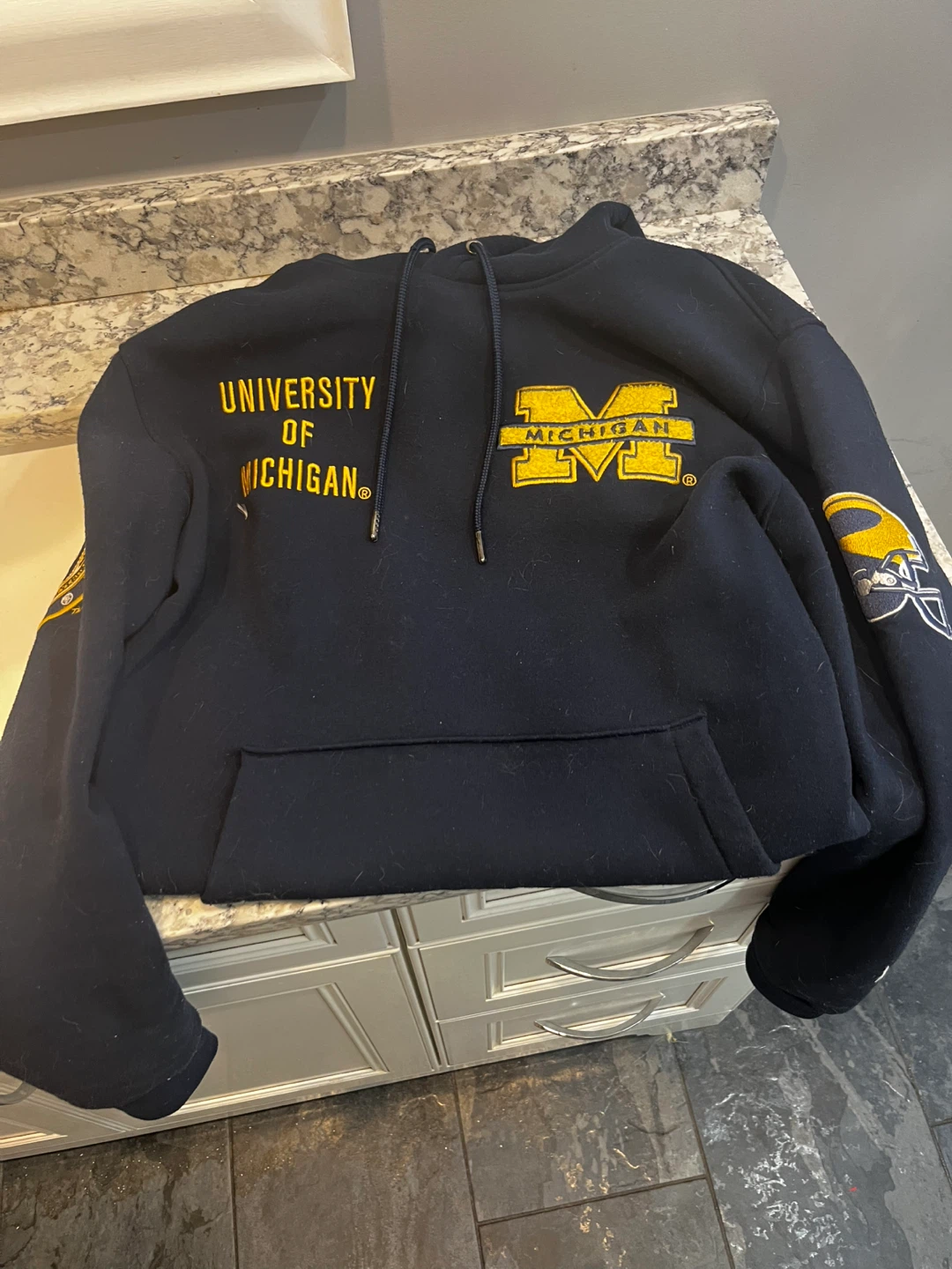University of Michigan Hoodie