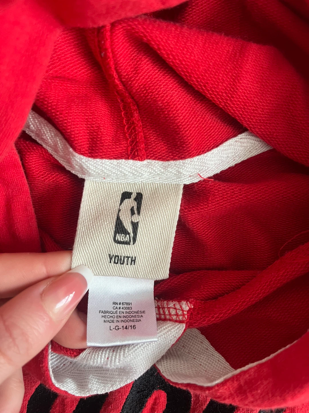Raptors hoodie, youth LG - photo 2