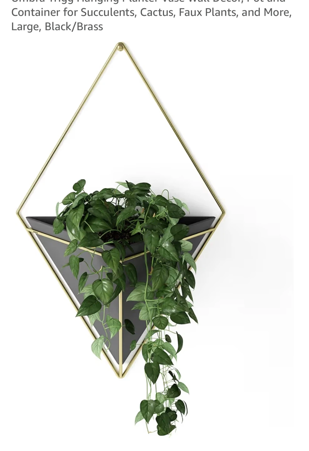 Hanging Diamond Planters - Set of 2