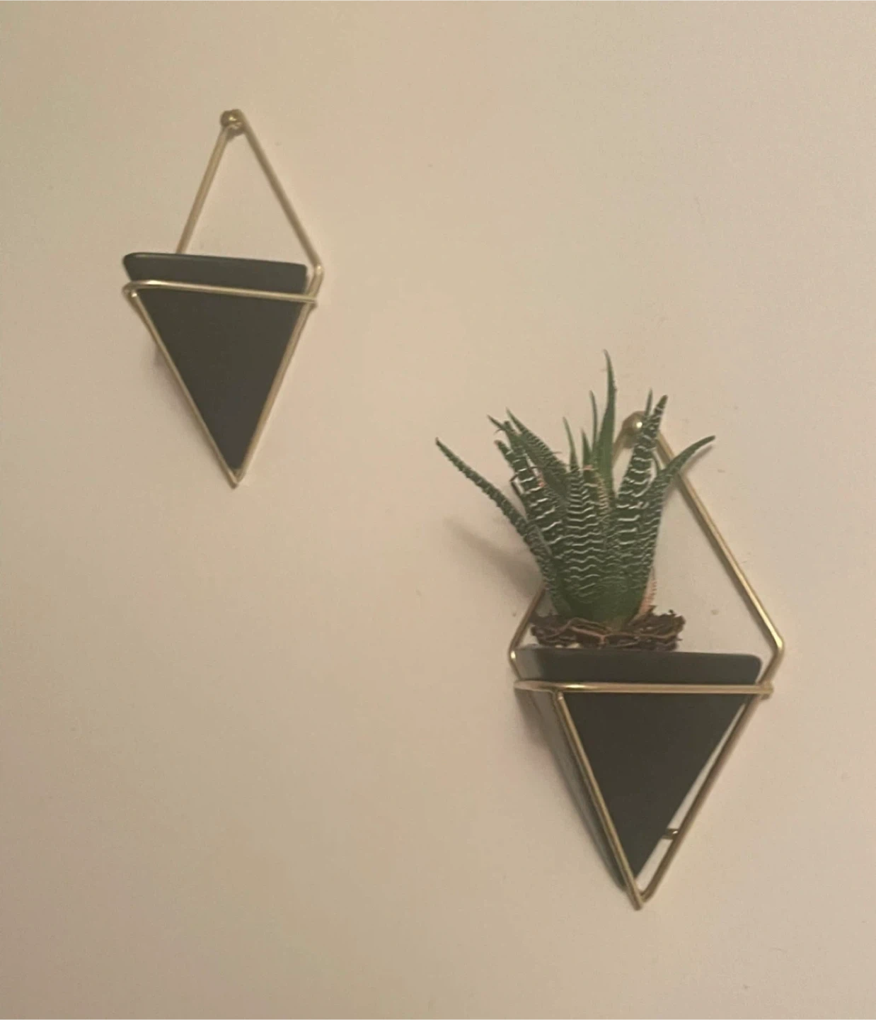 Hanging Diamond Planters - Set of 2 - photo 5
