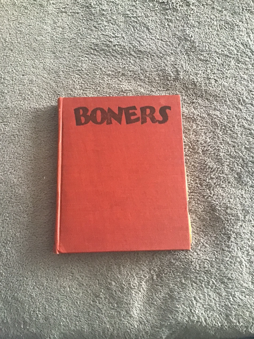 BONERS Book by Dr. Seuss