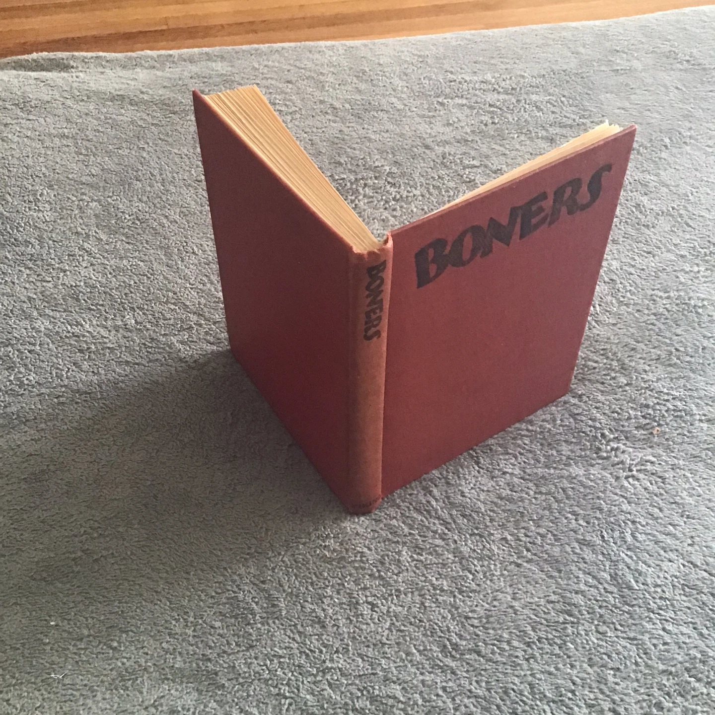 BONERS Book by Dr. Seuss - photo 4