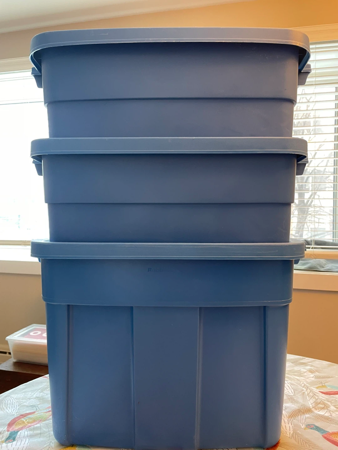 Rubbermaid  Storage Totes - bundle of 4