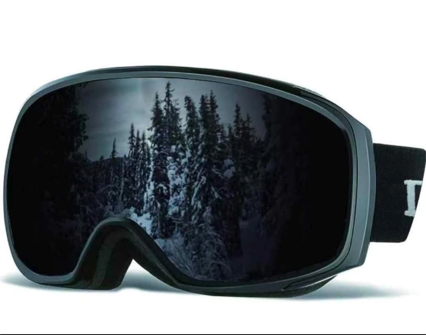 Dragon Slay Ski Goggles