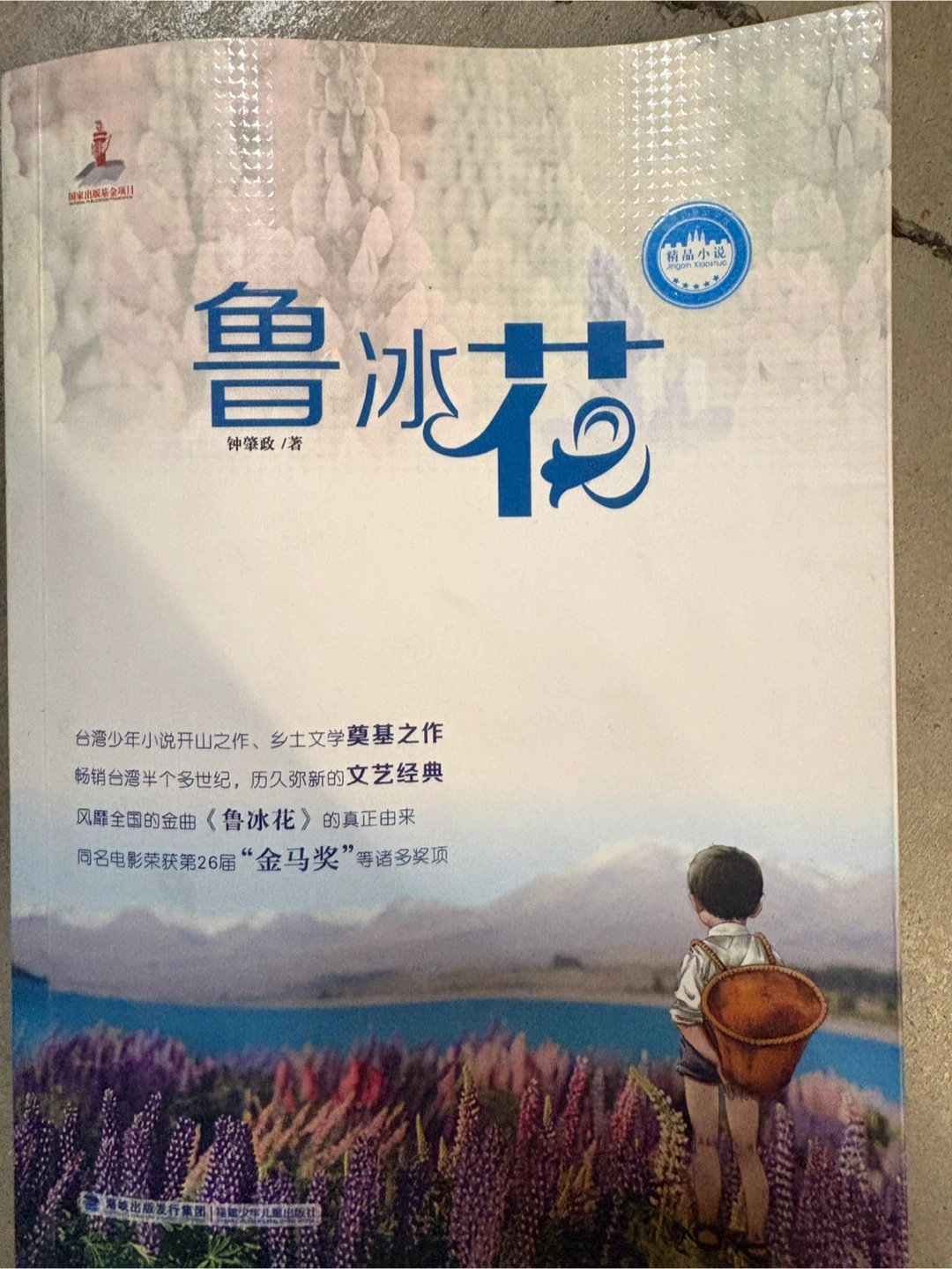 One dollar per Chinese book!!! - photo 3