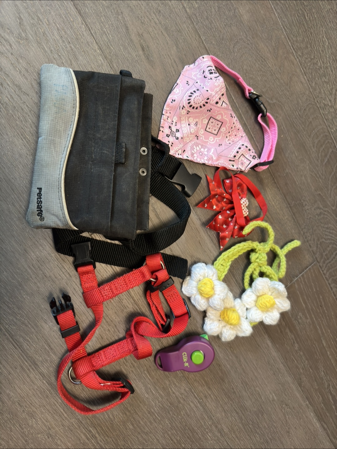 puppy stuff