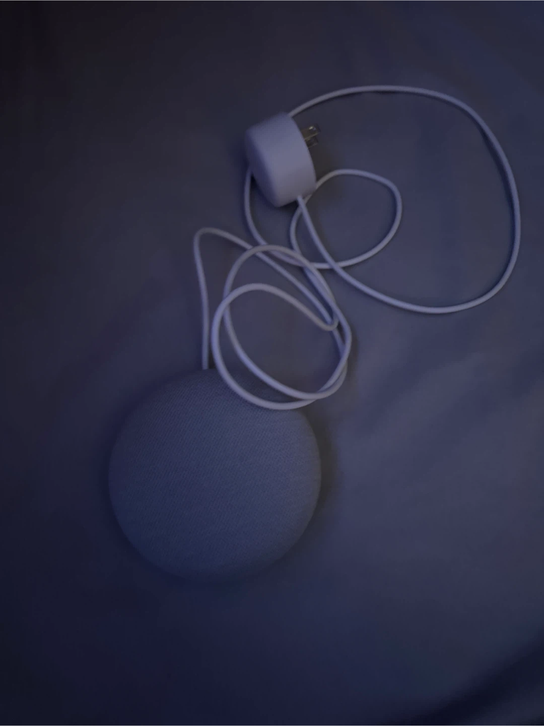 Google Home Mini