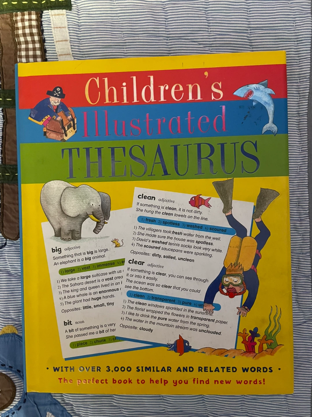 Children's Illustrated Thesaurus Book