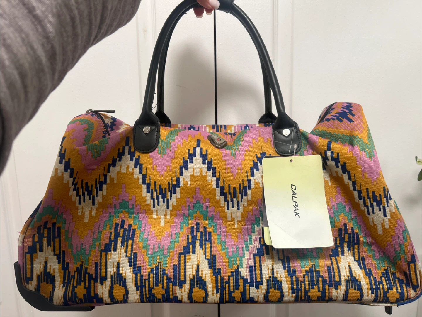 Calpak Travel Bag
