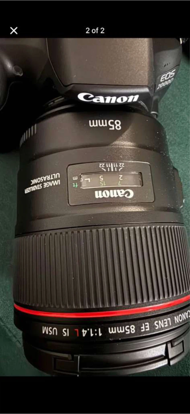 Canon EF 85mm f/1.4L IS USM Lens - photo 4