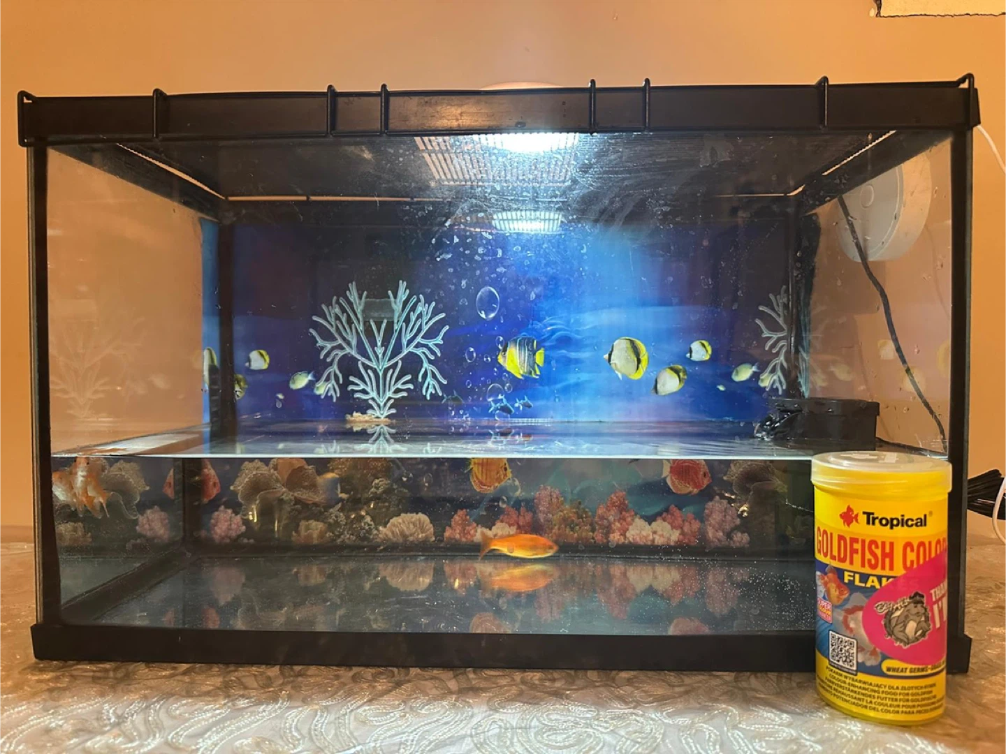 Aquarium with Tropical Goldfish Color Flake Food - photo 2
