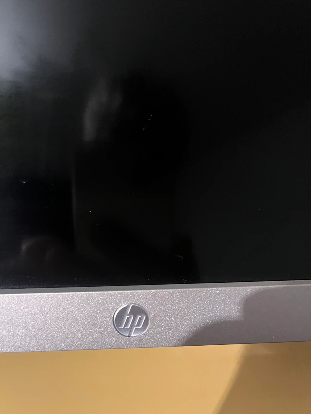 HP All-in-One Computer Monitor - photo 2