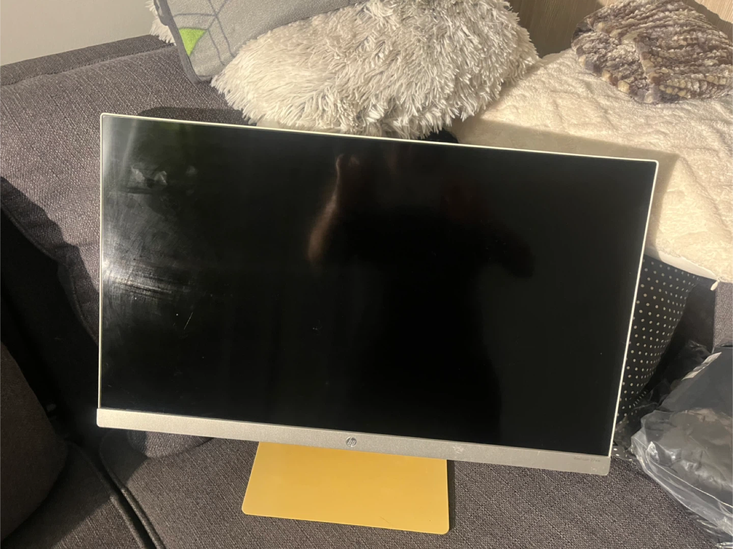HP All-in-One Computer Monitor