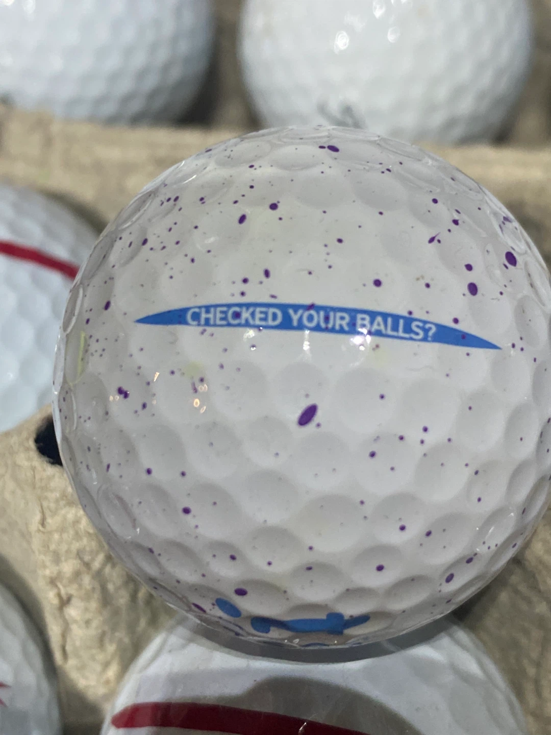 *ProV1 2025* 1500 IN STOCK