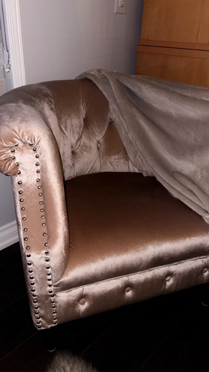 Beautiful Champagne Upholstered Barrel  Sofa Chair Pair - photo 4