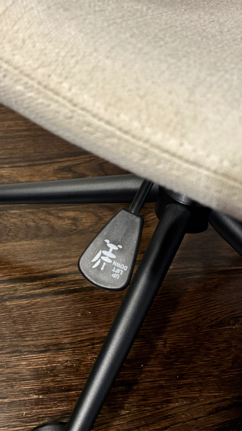 west elm office chair - photo 5