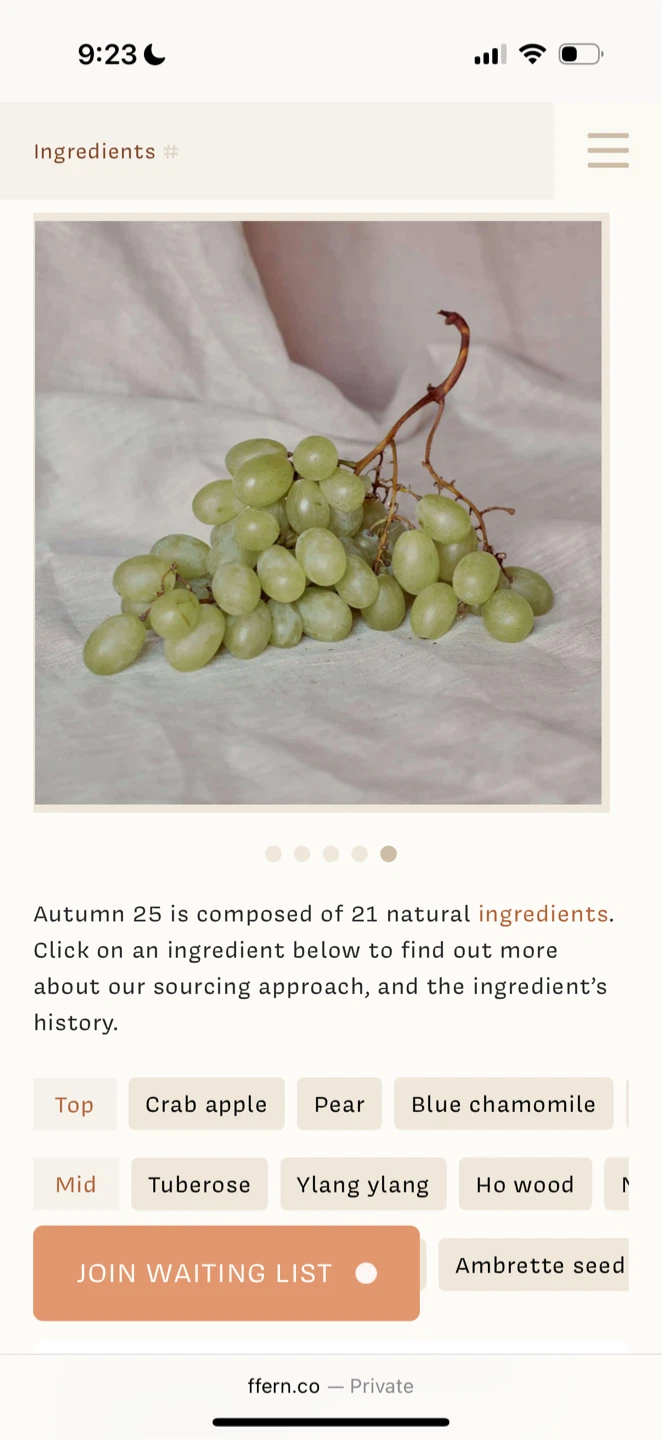 Ffern Organic Eau de Parfum - Autumn 25 - photo 4