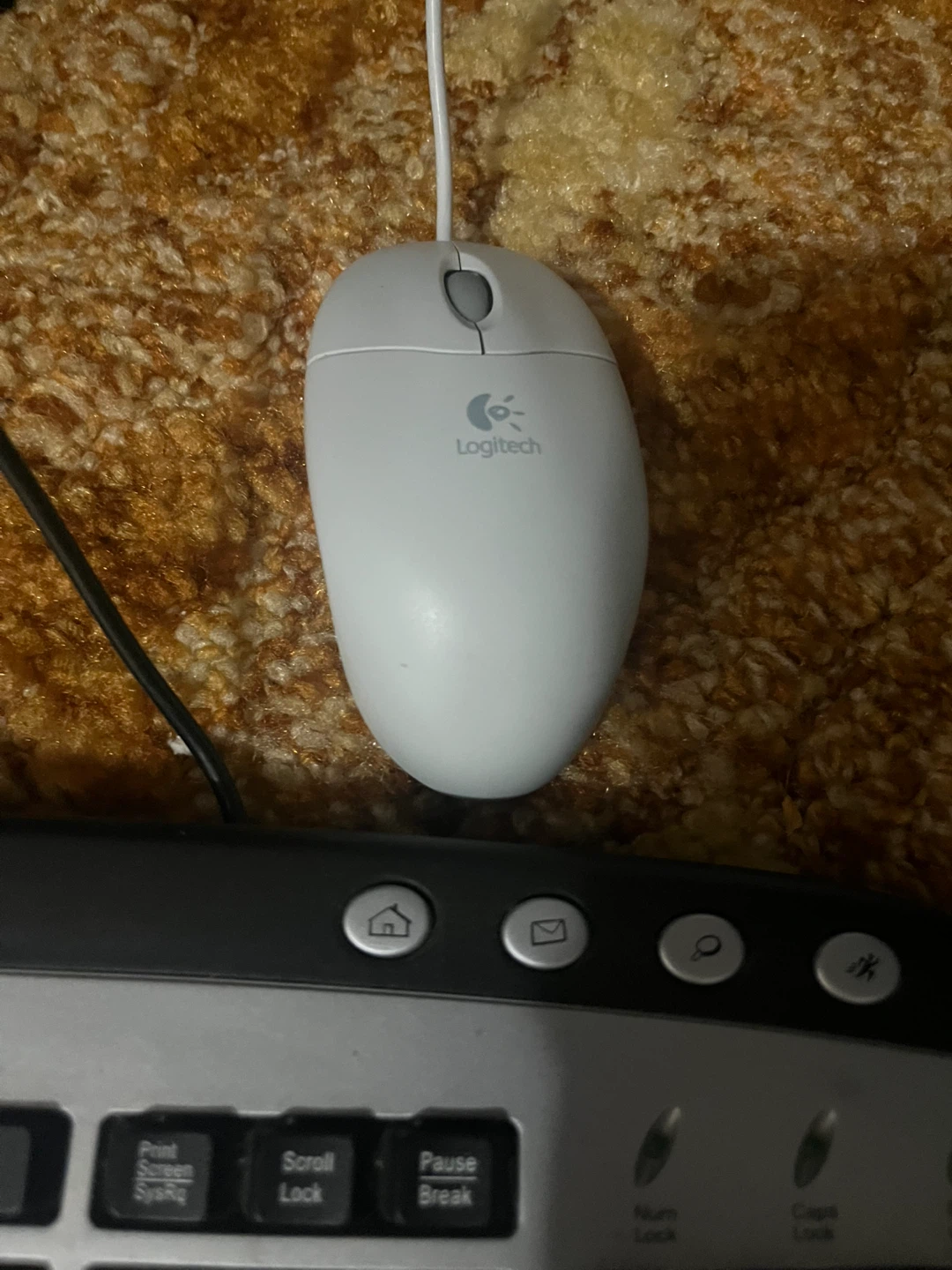 Toshiba Flat Screen Monitor with Logitech Mouse and Keyboard - photo 4