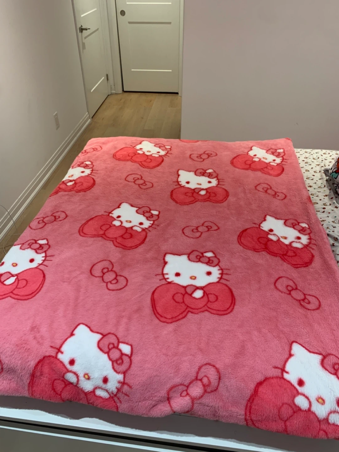 🎀🩷 Hello Kitty Faux Fur Pink Twin Throw Blanket 🩷🎀