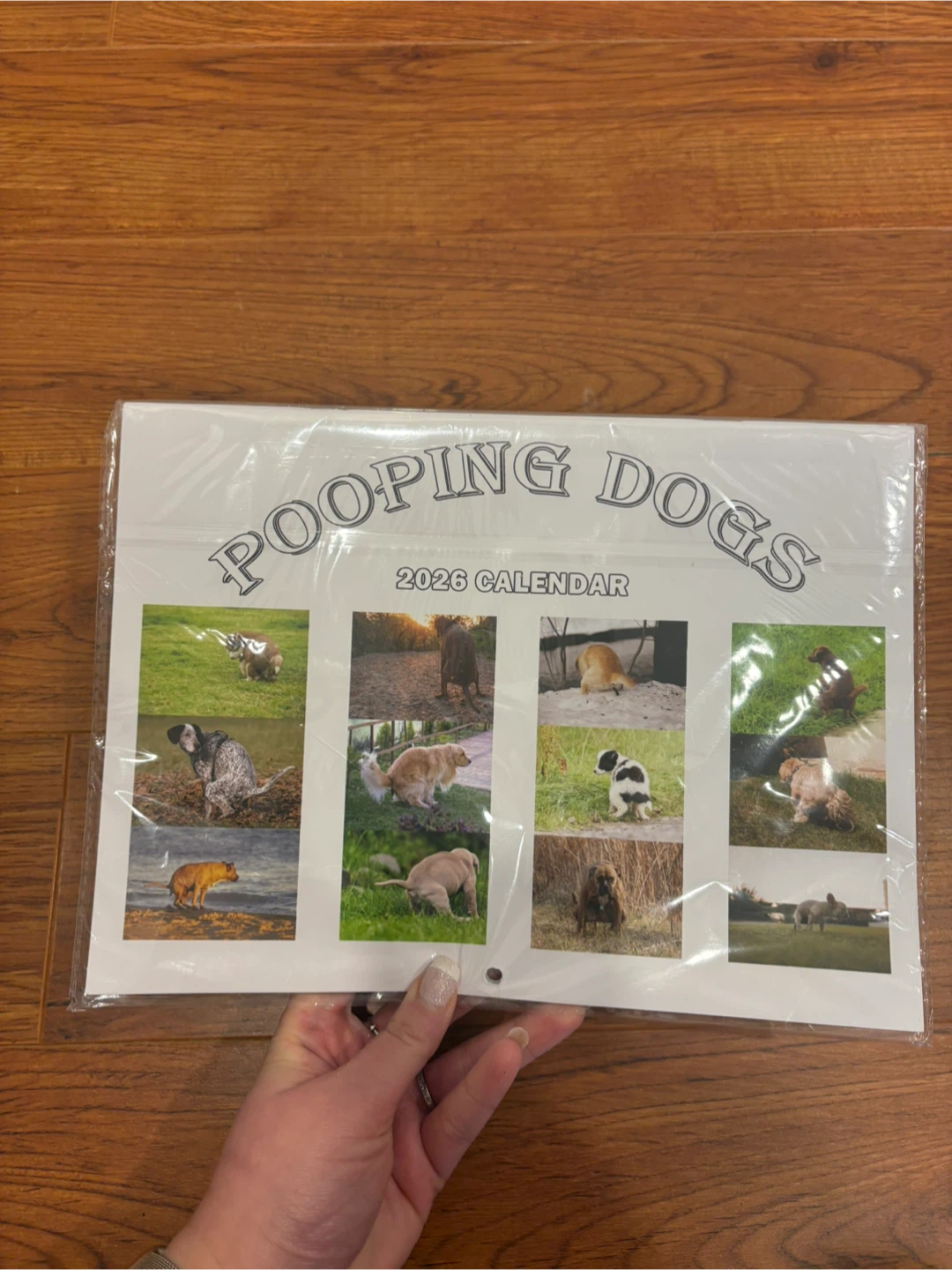 Pooping Dogs 2026 Calendar - photo 2