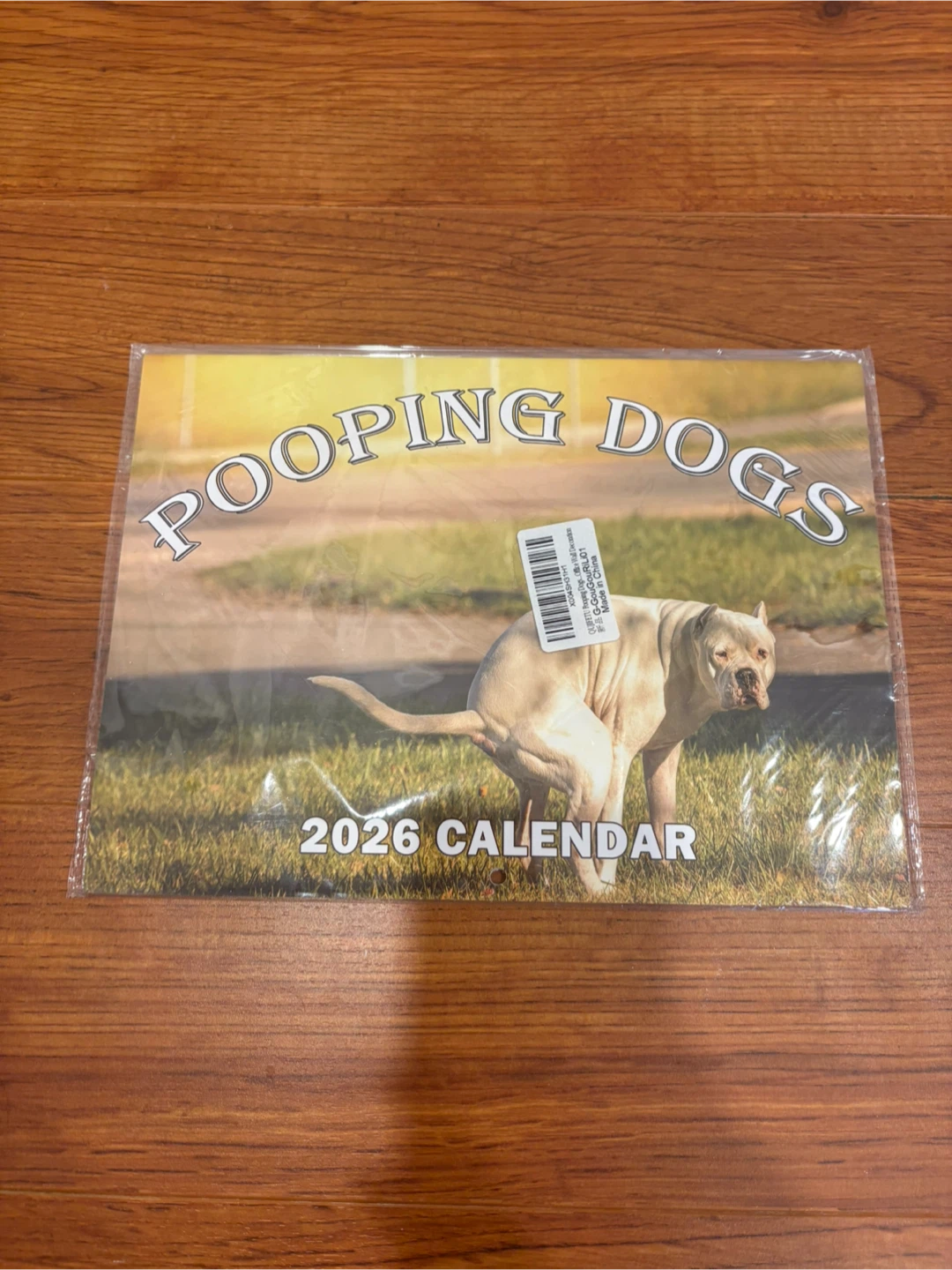 Pooping Dogs 2026 Calendar
