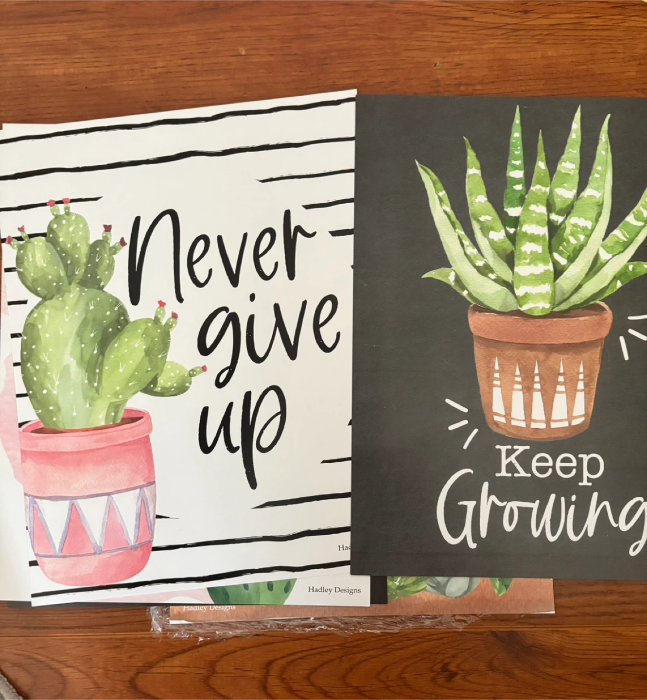 Hadley Designs Motivational Posters - Classroom Cactus Theme - photo 4