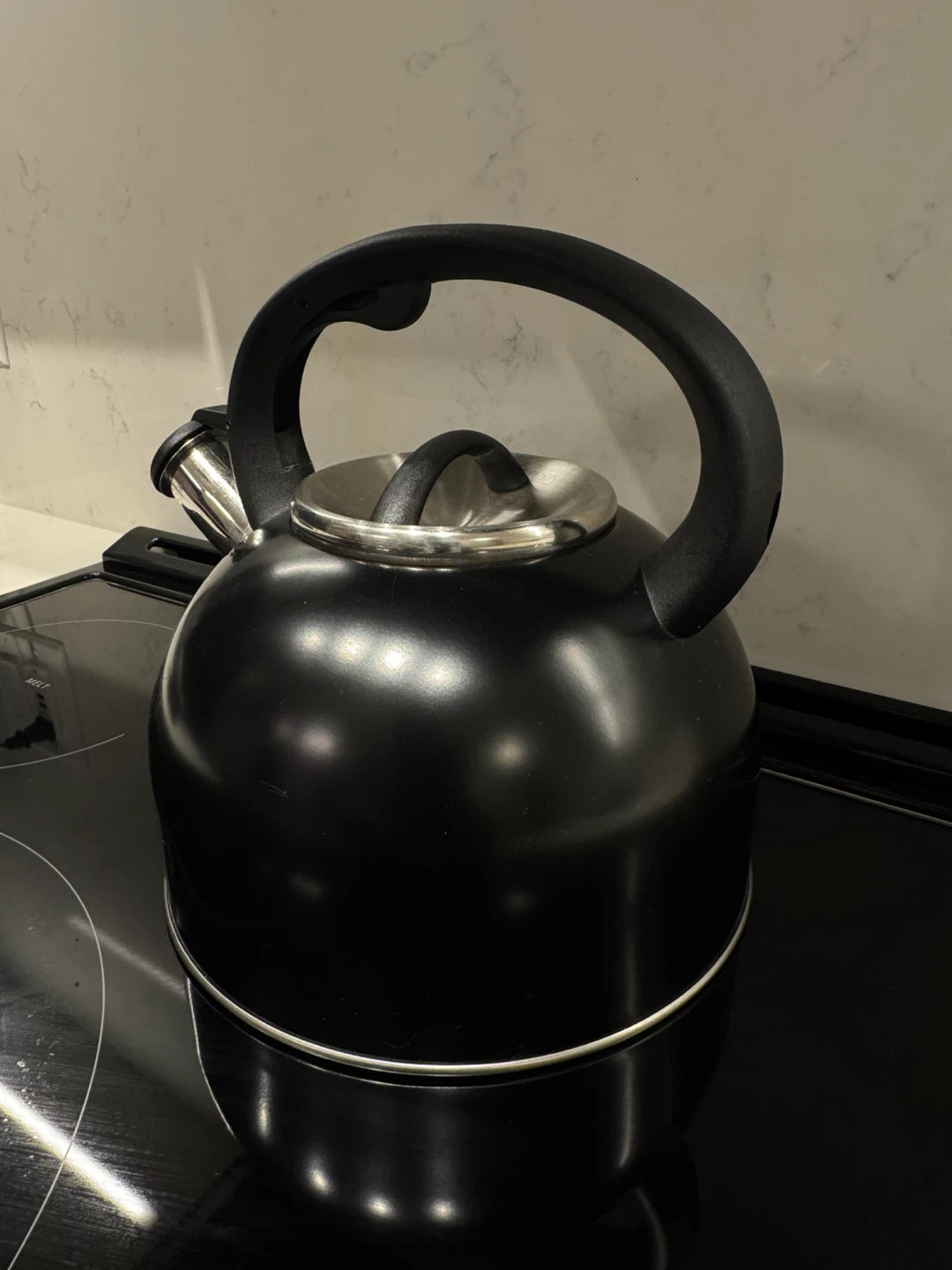 Black Stovetop Whistling Kettle