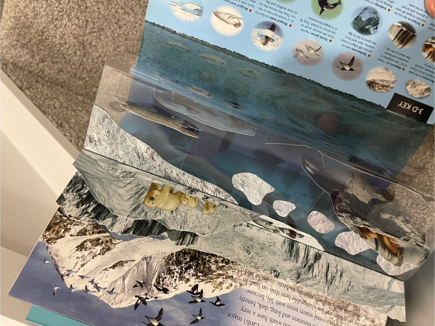 Planet Earth 3-D Explorer Pop-Up Educational book - photo 4