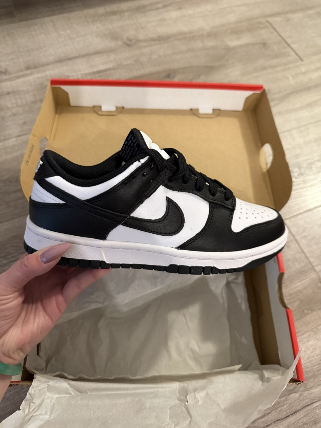 Nike Dunk Low Women's Shoes BRAND NEW