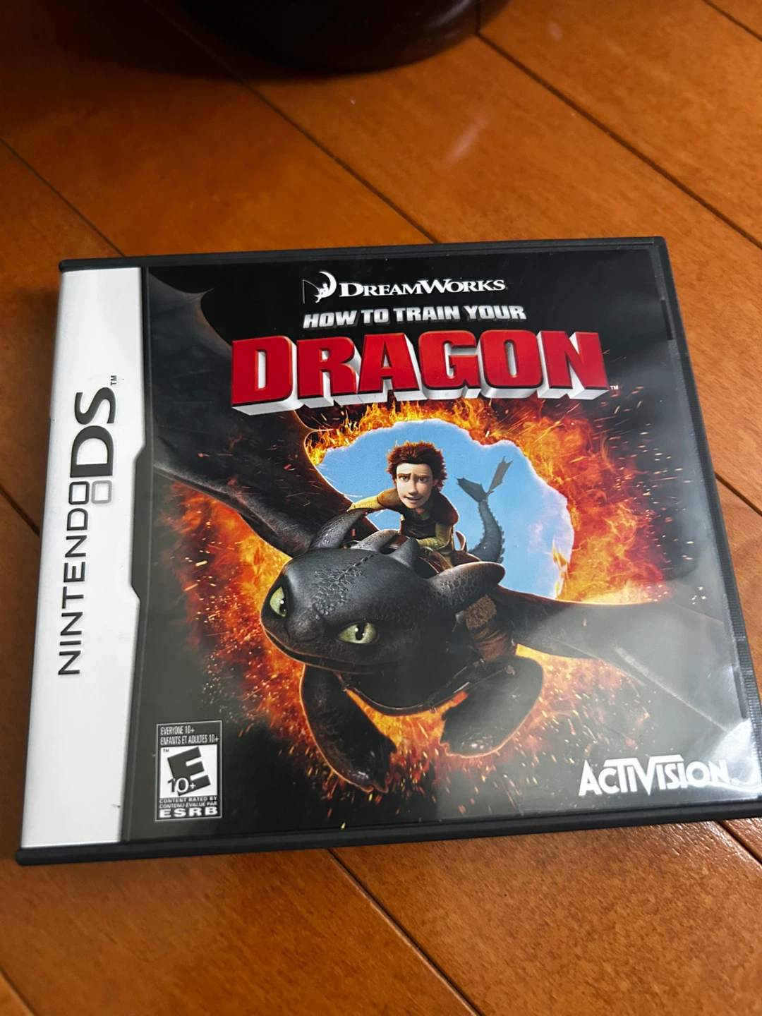 Nintendo DS How to Train Your Dragon Game