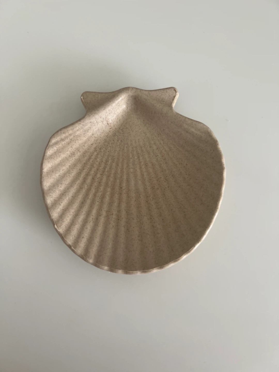 Scallop Shell Shaped Small Plate