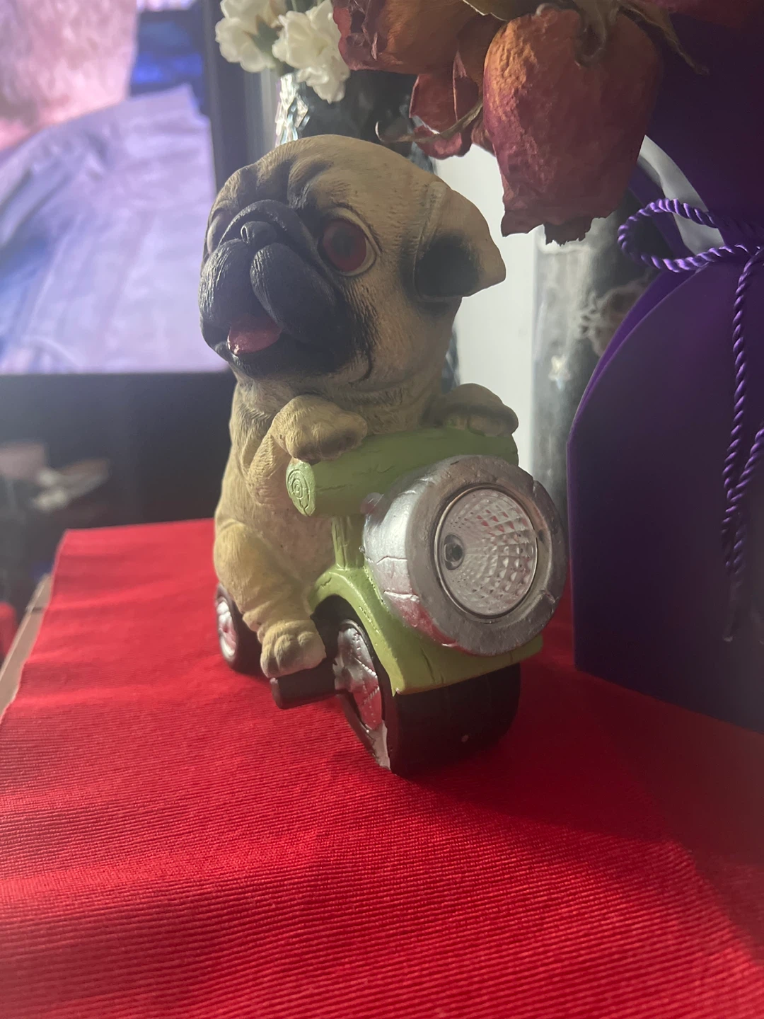 Pug in a bike for garden or balcony