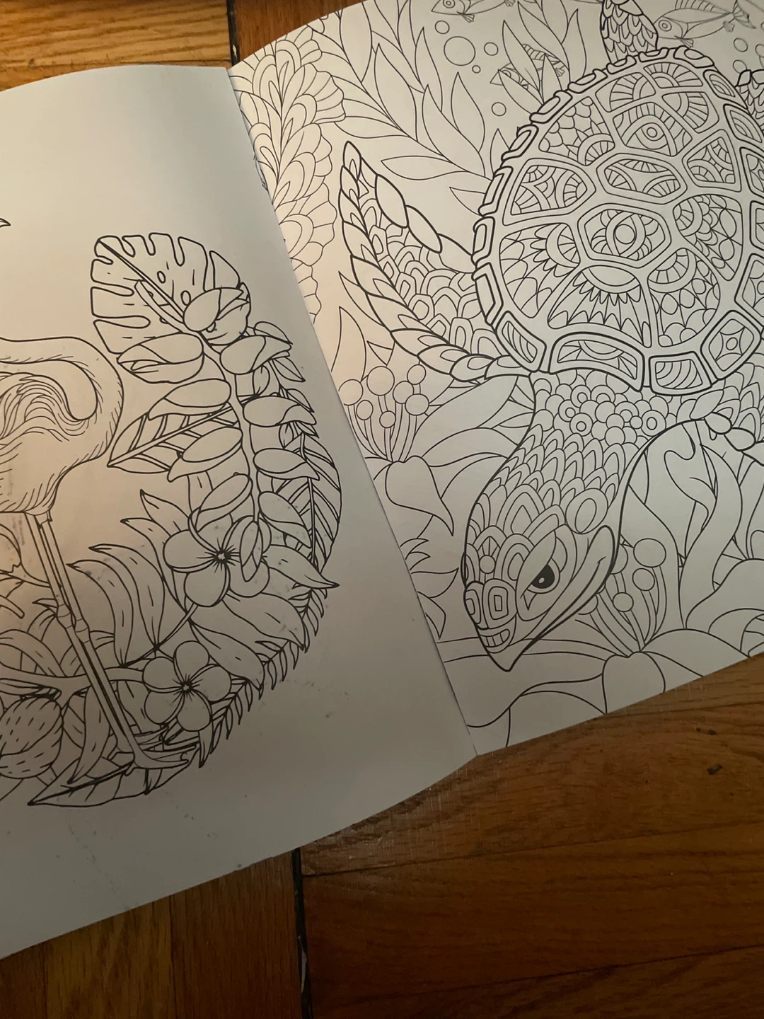 Tropical Escape Colouring Book - photo 3