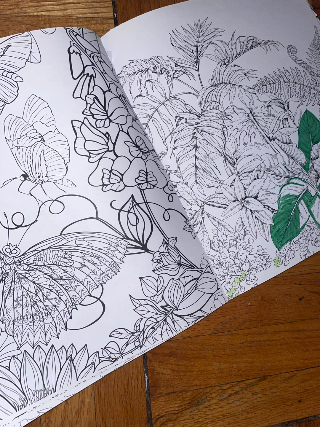 Tropical Escape Colouring Book - photo 2