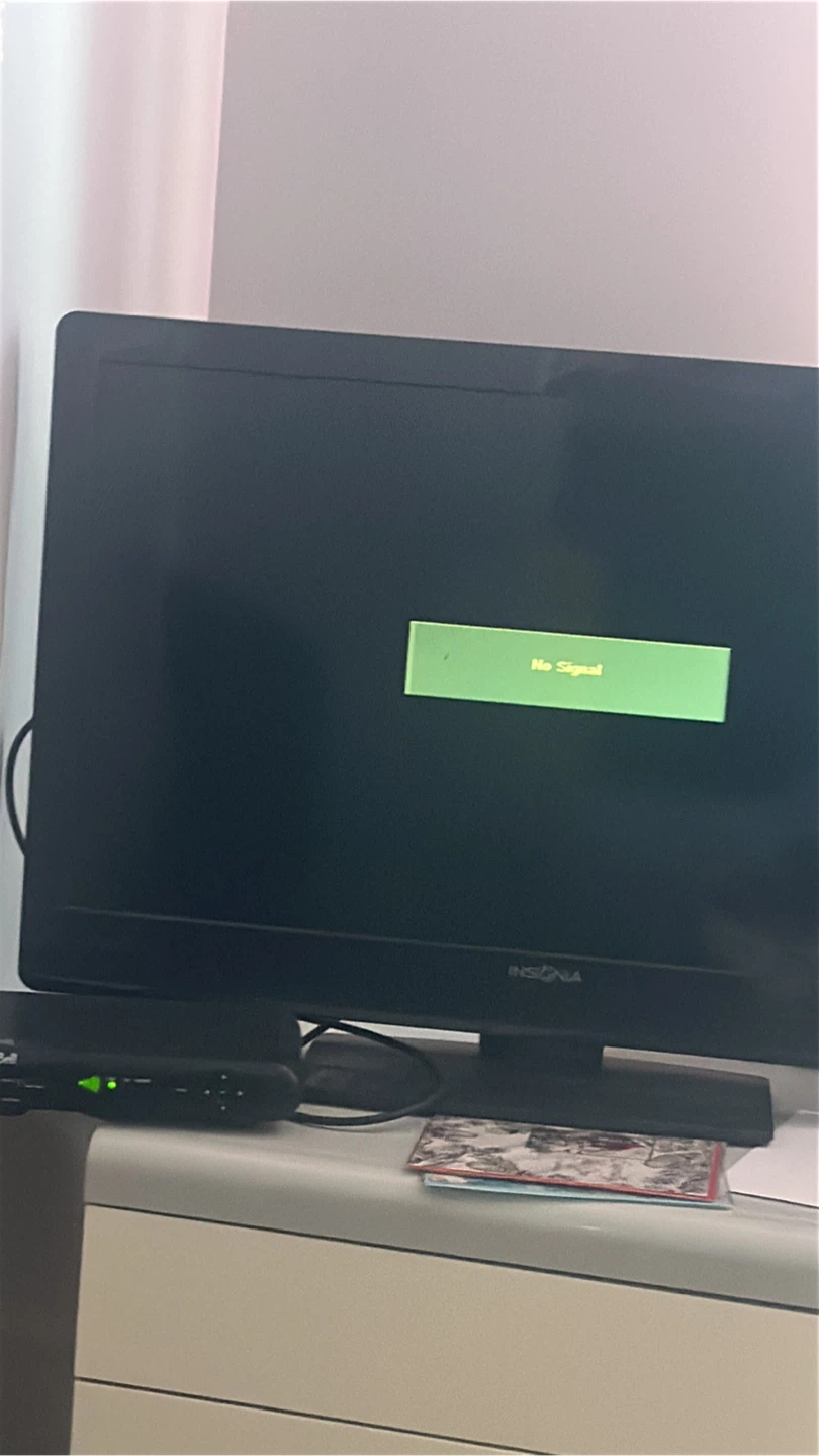 Insignia Flat Screen TV