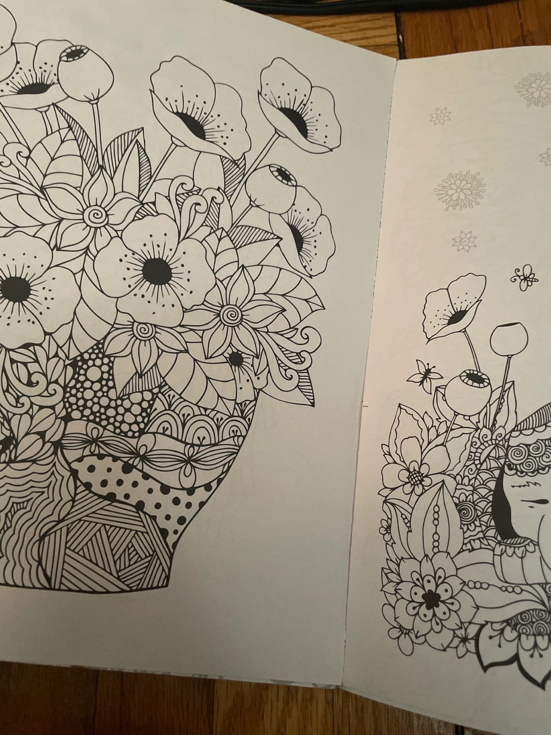 In My Garden A Multi-Level Creative Colouring Book - photo 3