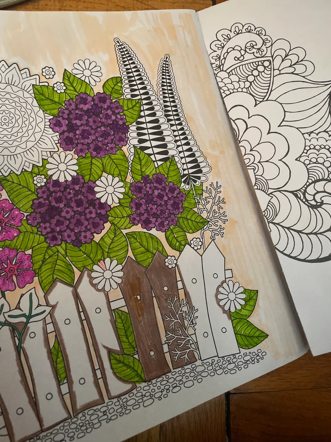 In My Garden A Multi-Level Creative Colouring Book - photo 2