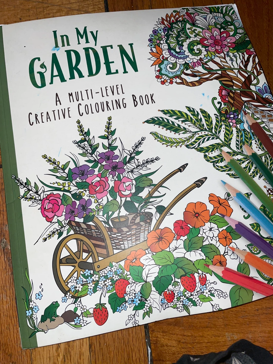 In My Garden A Multi-Level Creative Colouring Book