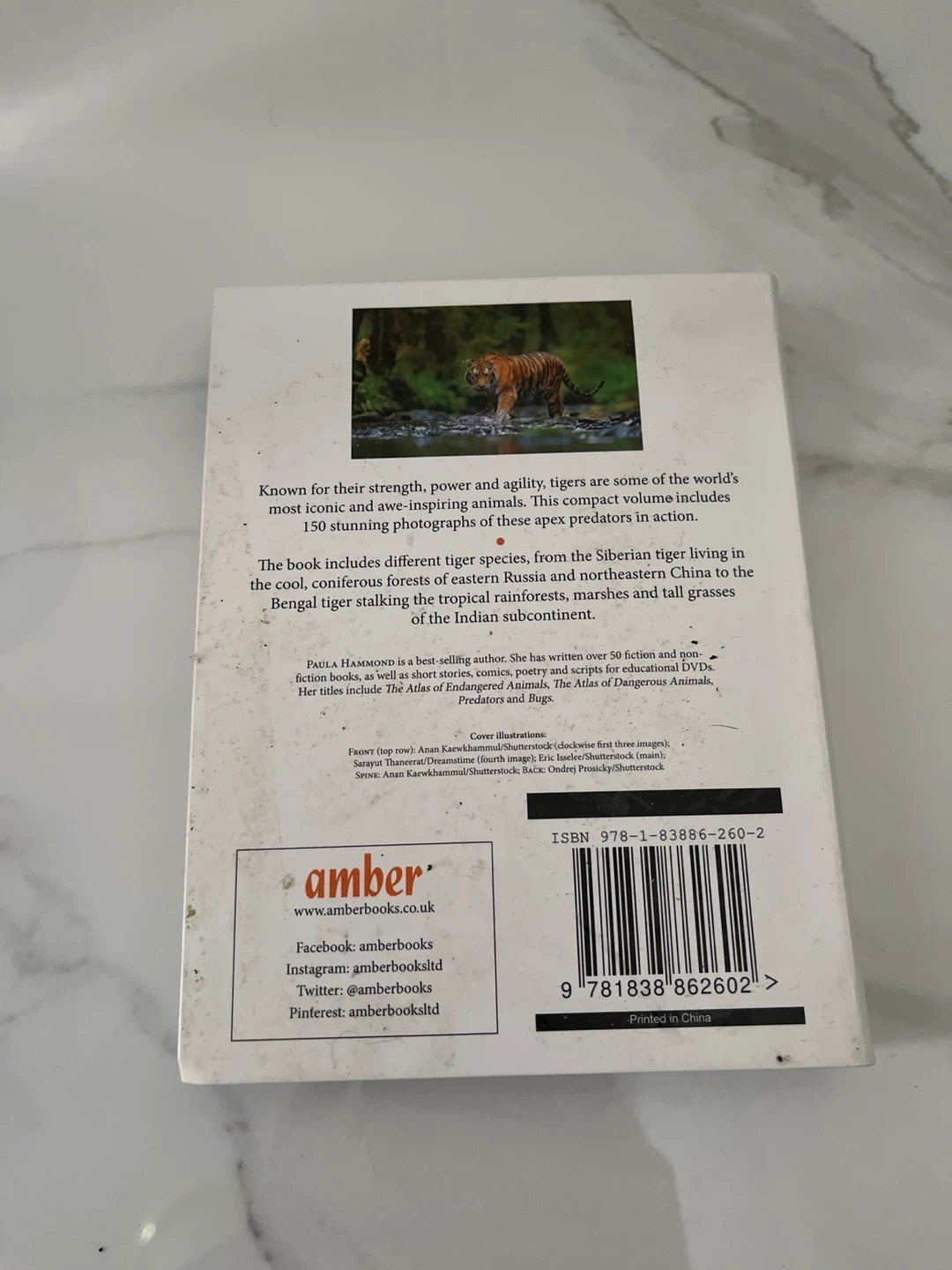 Tigers: Cubs, Species, Habitats, - photo 3