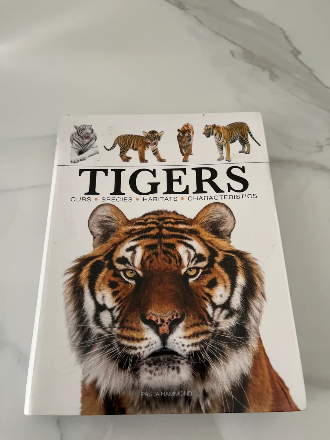 Tigers: Cubs, Species, Habitats,