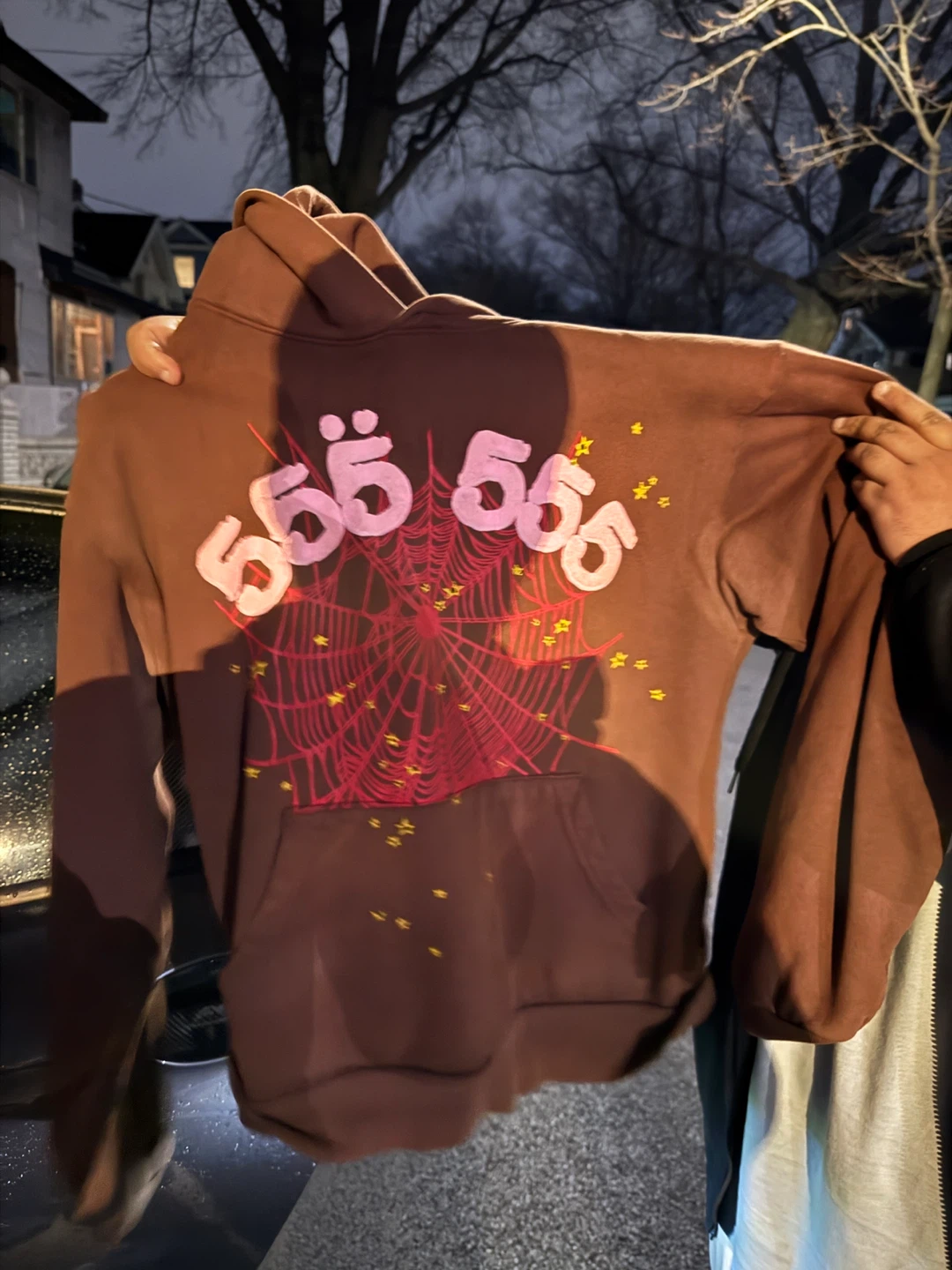 Brown 555 Spiderweb Hoodie
