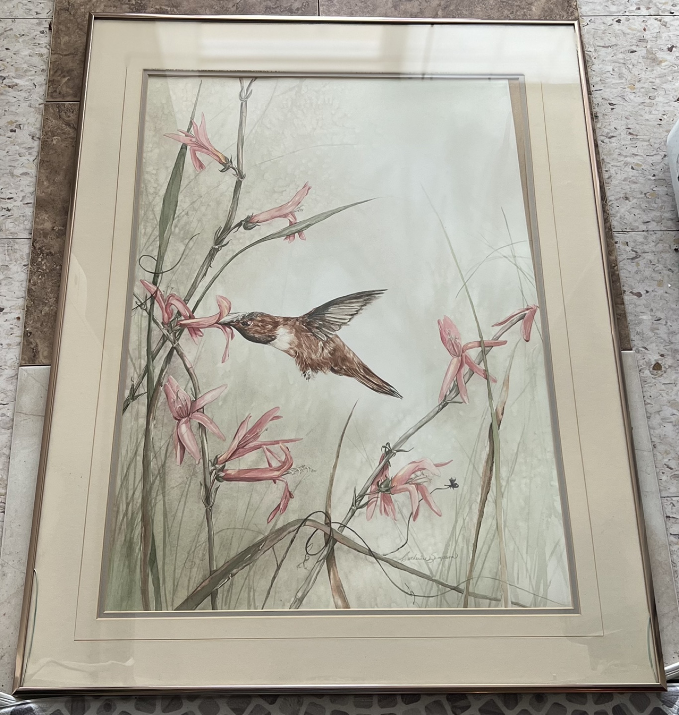Catherine Simpson Hummingbird Art Print