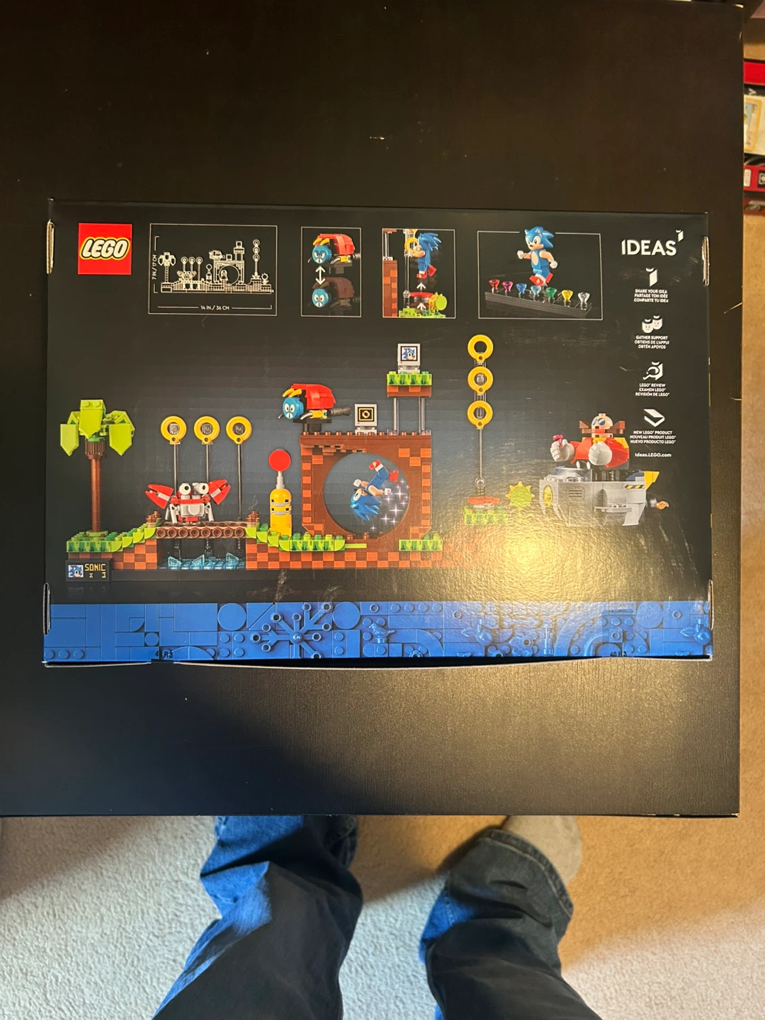 LEGO Ideas Sonic the Hedgehog Green Hill Zone Set - photo 3