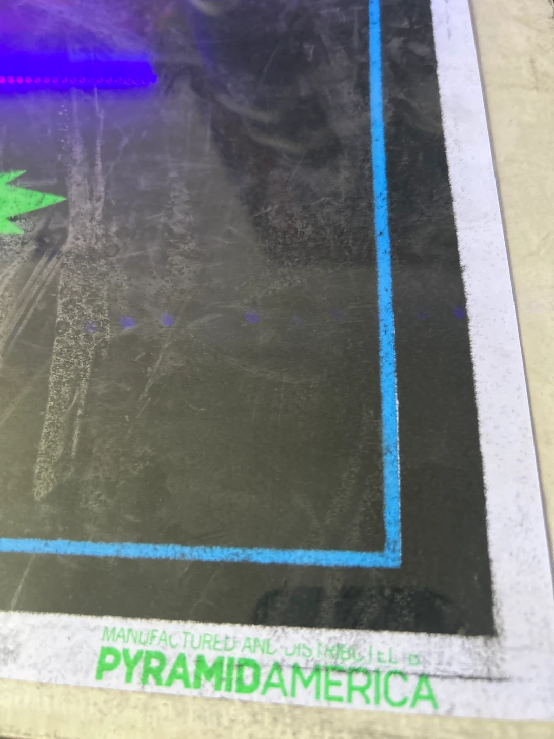 Sealed Glow in the Dark Leaf Poster (multiples available) - photo 2