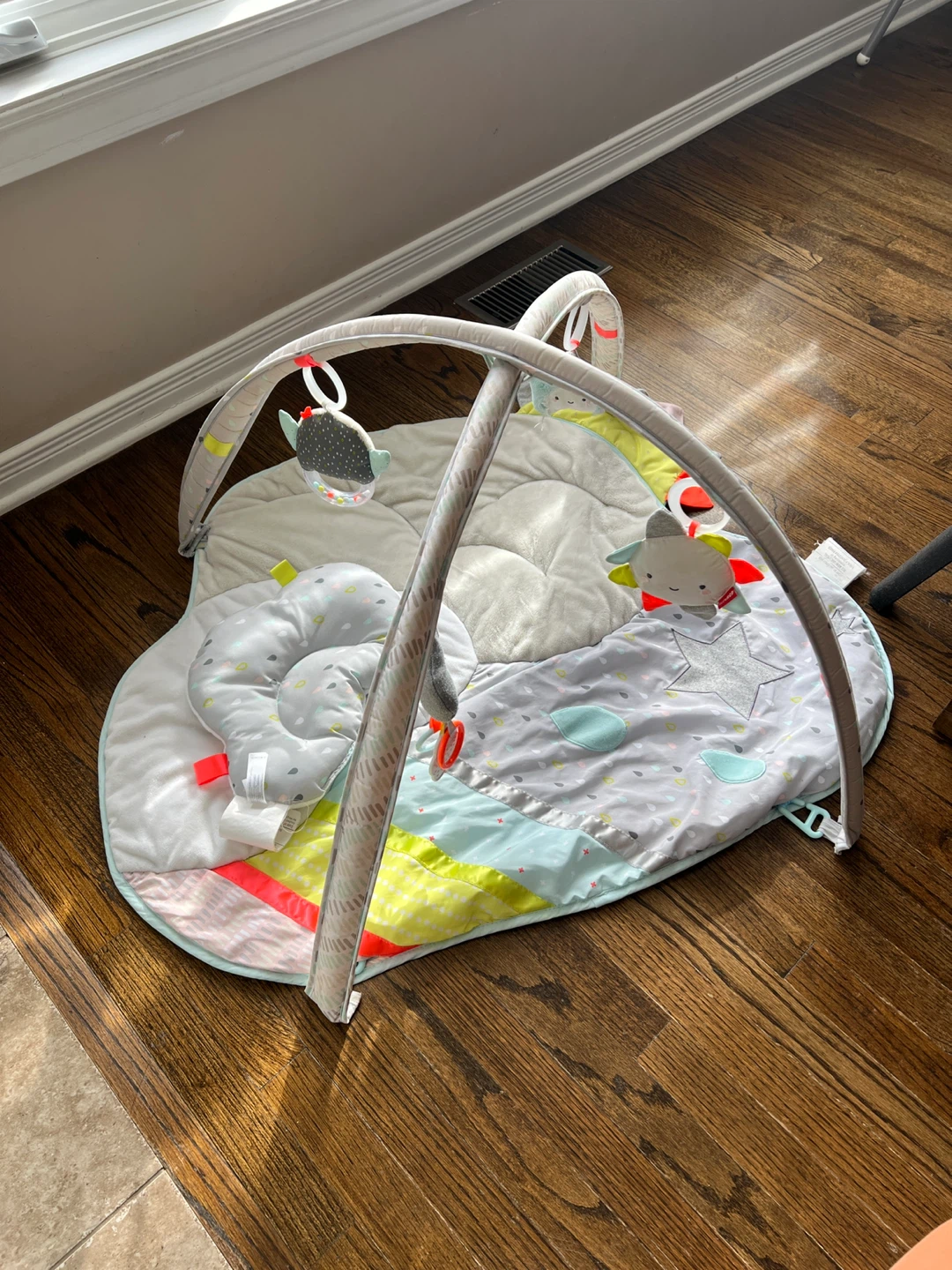 Skip Hop Baby Activity Gym Play Mat