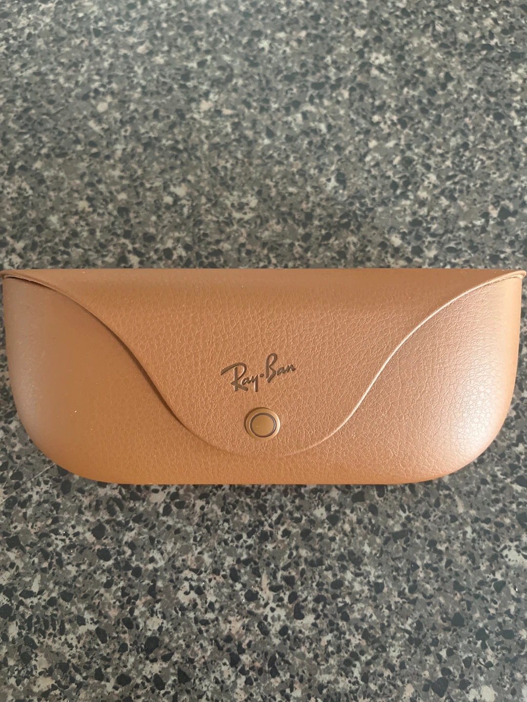 Ray-Ban Wayfarer Smart Glasses with transition lenses and Case