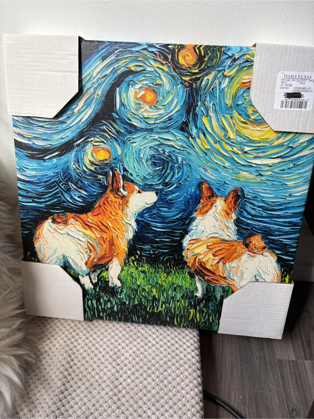 Homesense Corgi Starry Night Canvas Print